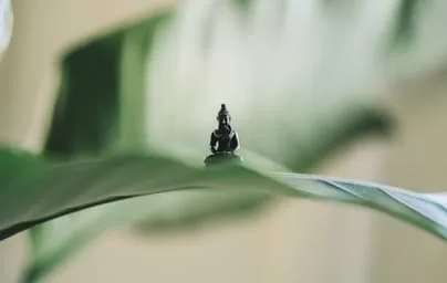 整合优势资源，驱动产业升级 - 开云官网1
